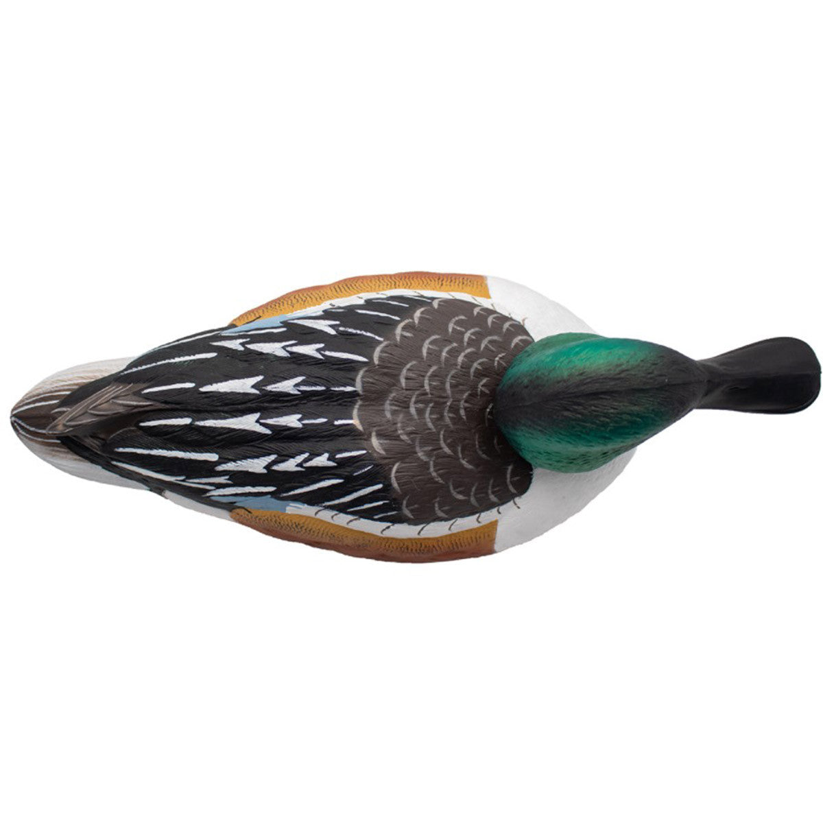 FA-212530 LIVE Floating Shovelers - 6 Pack