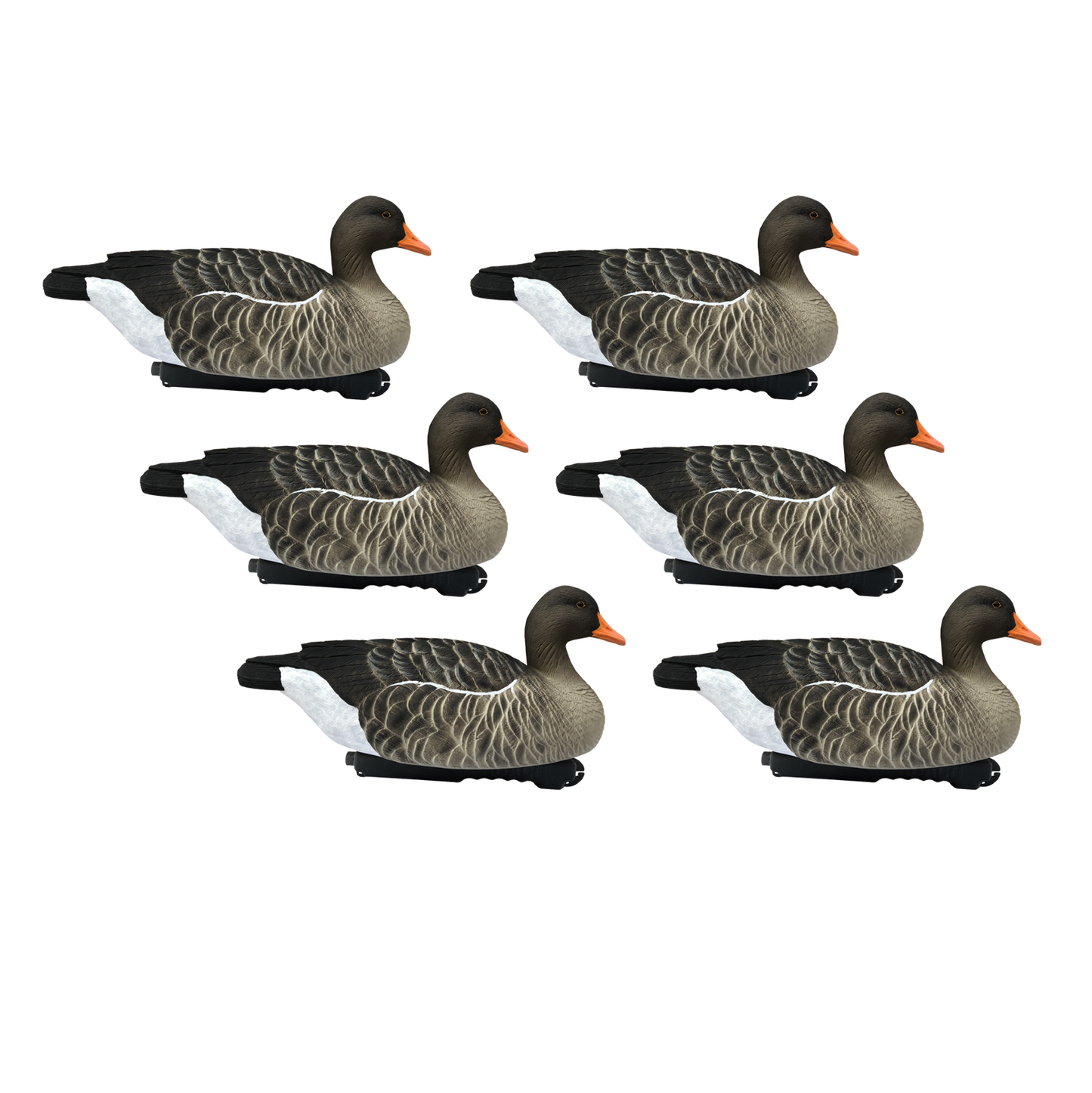 FA-199263 LAST PASS GREYLAG FLOATER - 6 PACK