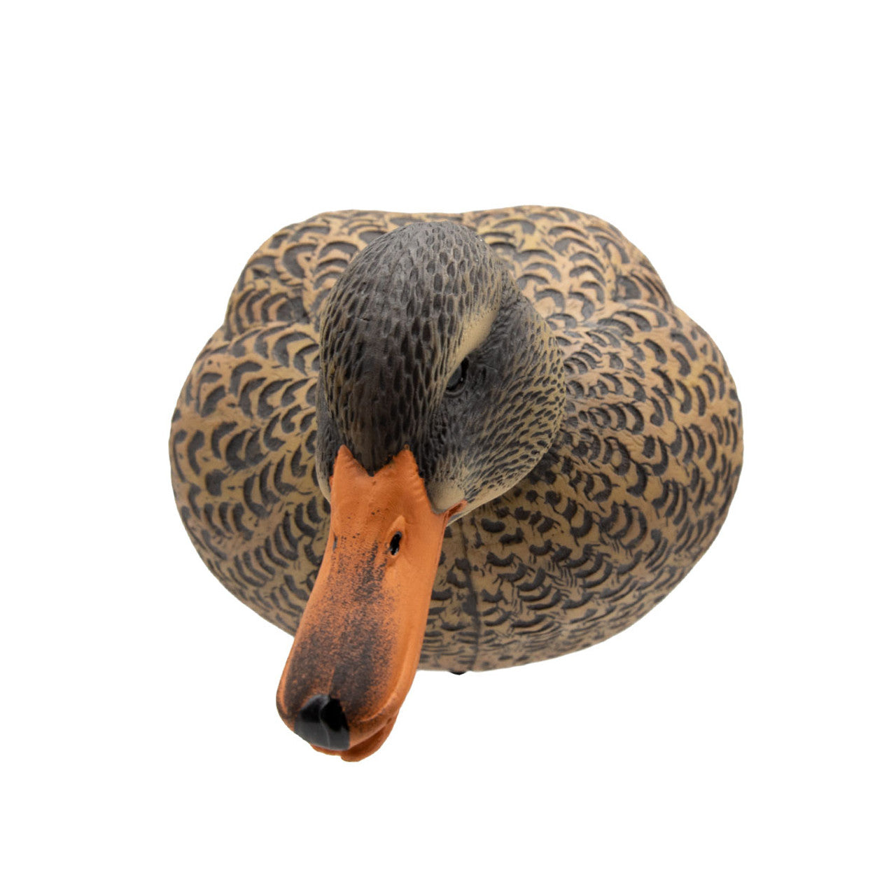 Mallard Hen Decoy Head First