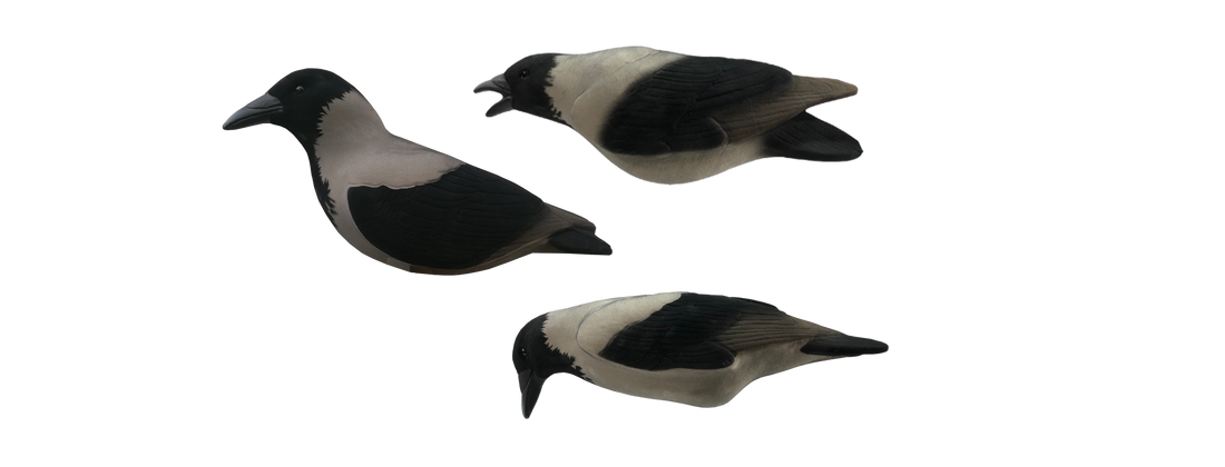 Crow Decoys
