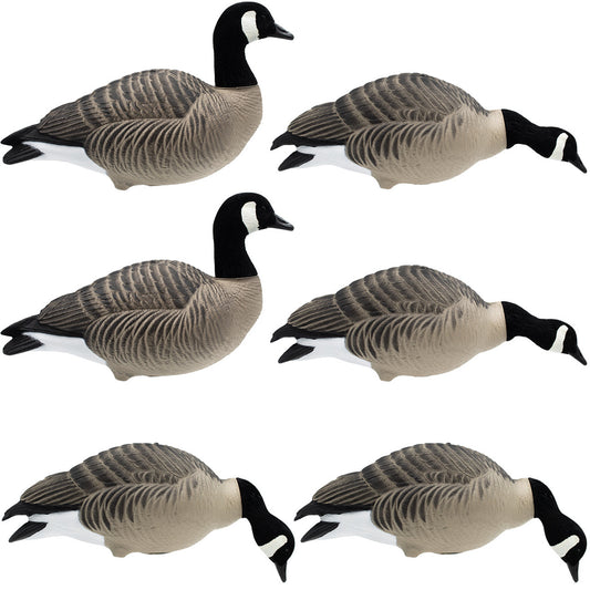 FA-246274 HD FULL BODY LESSER CANADA GEESE - 6 PACK