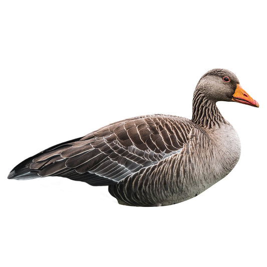 FA-23-285-01 LAST PASS GREYLAG GOOSE SILHOUETTE DECOYS - 12 PACK