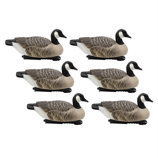 FA-196261 LAST PASS CANADA GOOSE FLOATER - 6 PACK