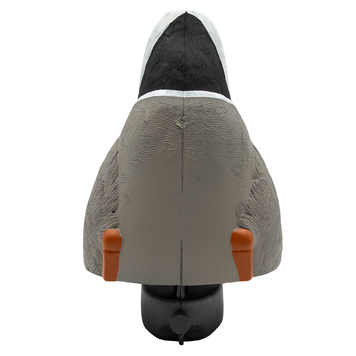 FA-212330 HD MALLARD DUCK BUTTS - 4 PACK