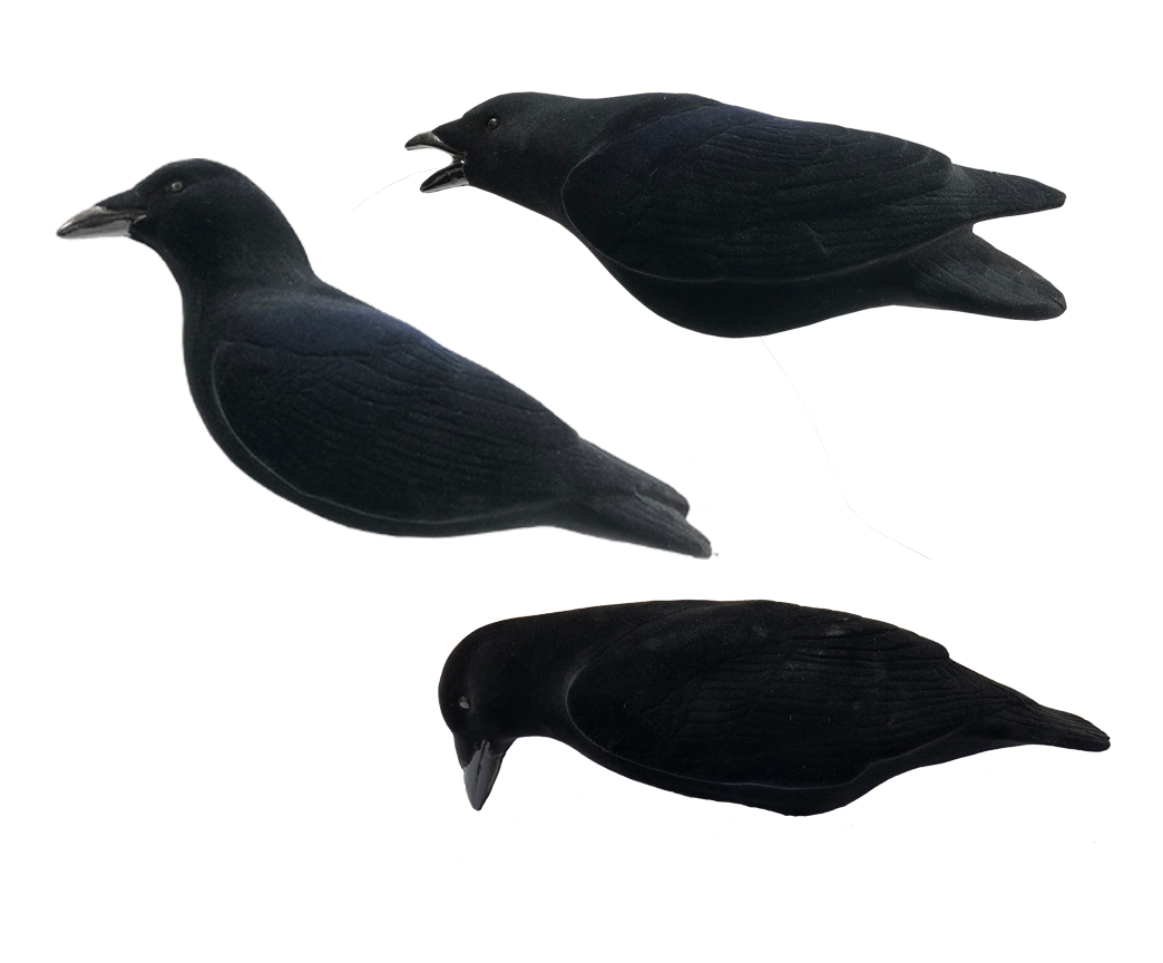 FA-194002 LAST PASS FULLY FLOCKED CROW DECOYS - 3 PACK