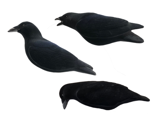 FA-194002 LAST PASS FULLY FLOCKED CROW DECOYS - 3 PACK