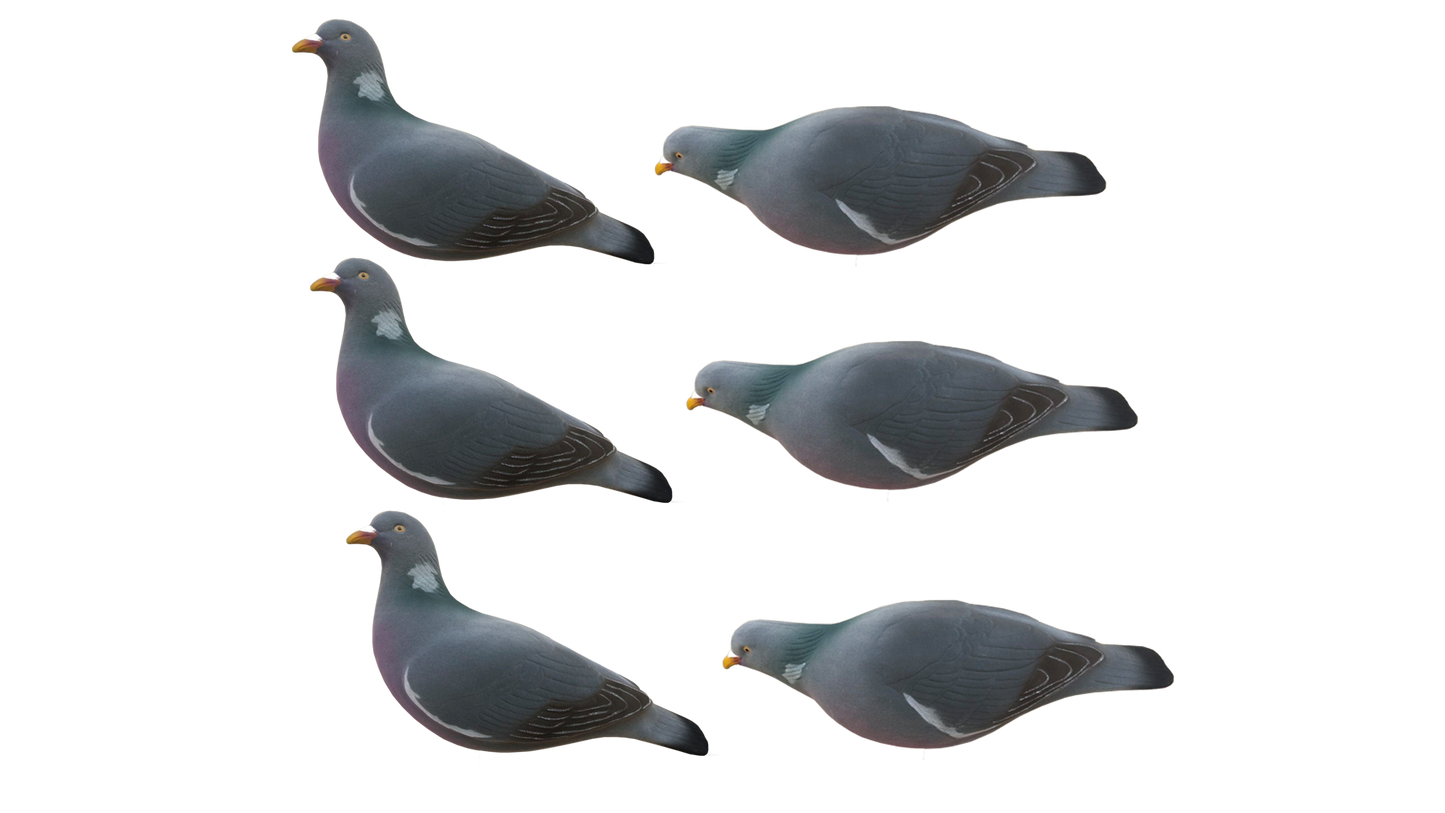 FA-195004 LAST PASS PIGEON FULLY FLOCKED DECOYS - 6 PACK