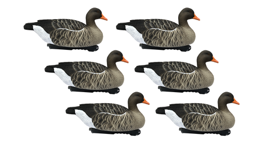 FA-199263 LAST PASS GREYLAG FLOATER - 6 PACK