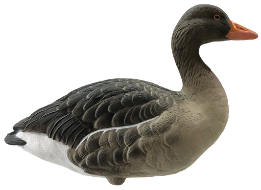 FA-229283 LIVE FULL BODY GREYLAG - 6 PACK