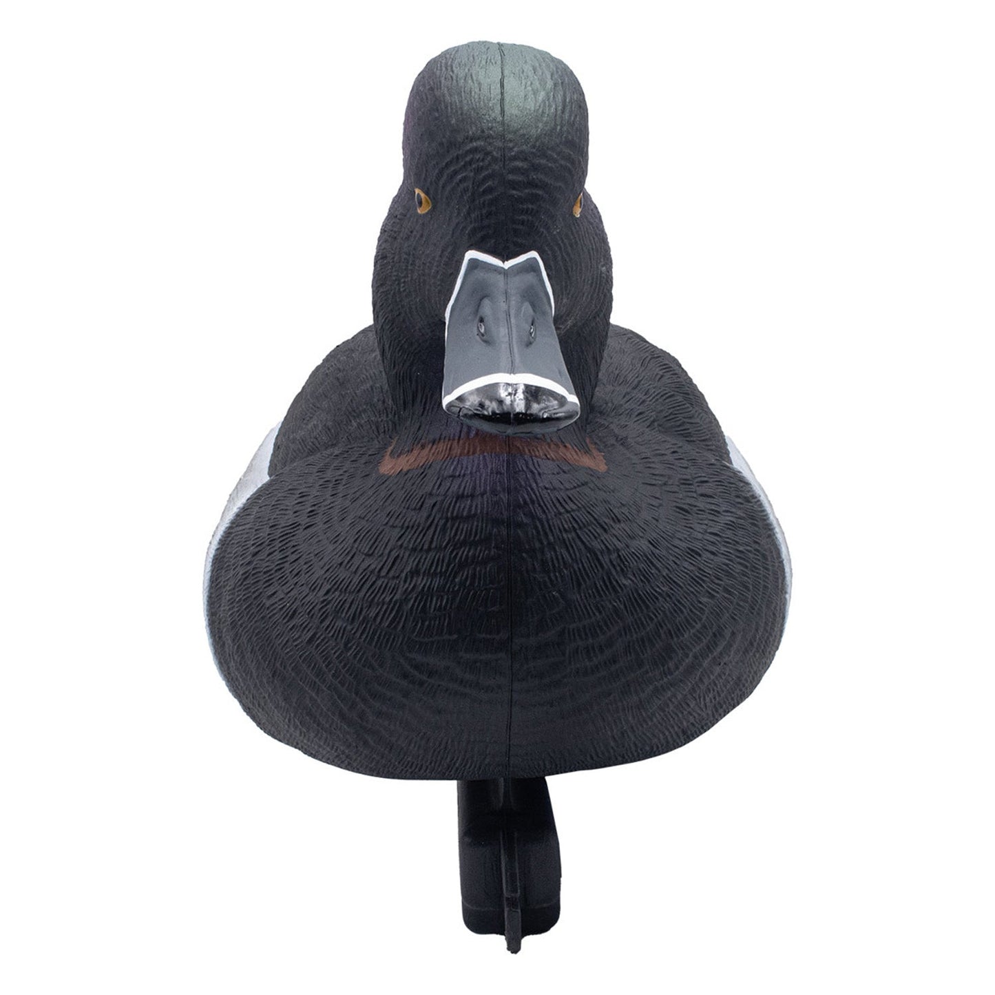 FA-242780 LIVE Foam Filled Ring-Necks, 6 Pack