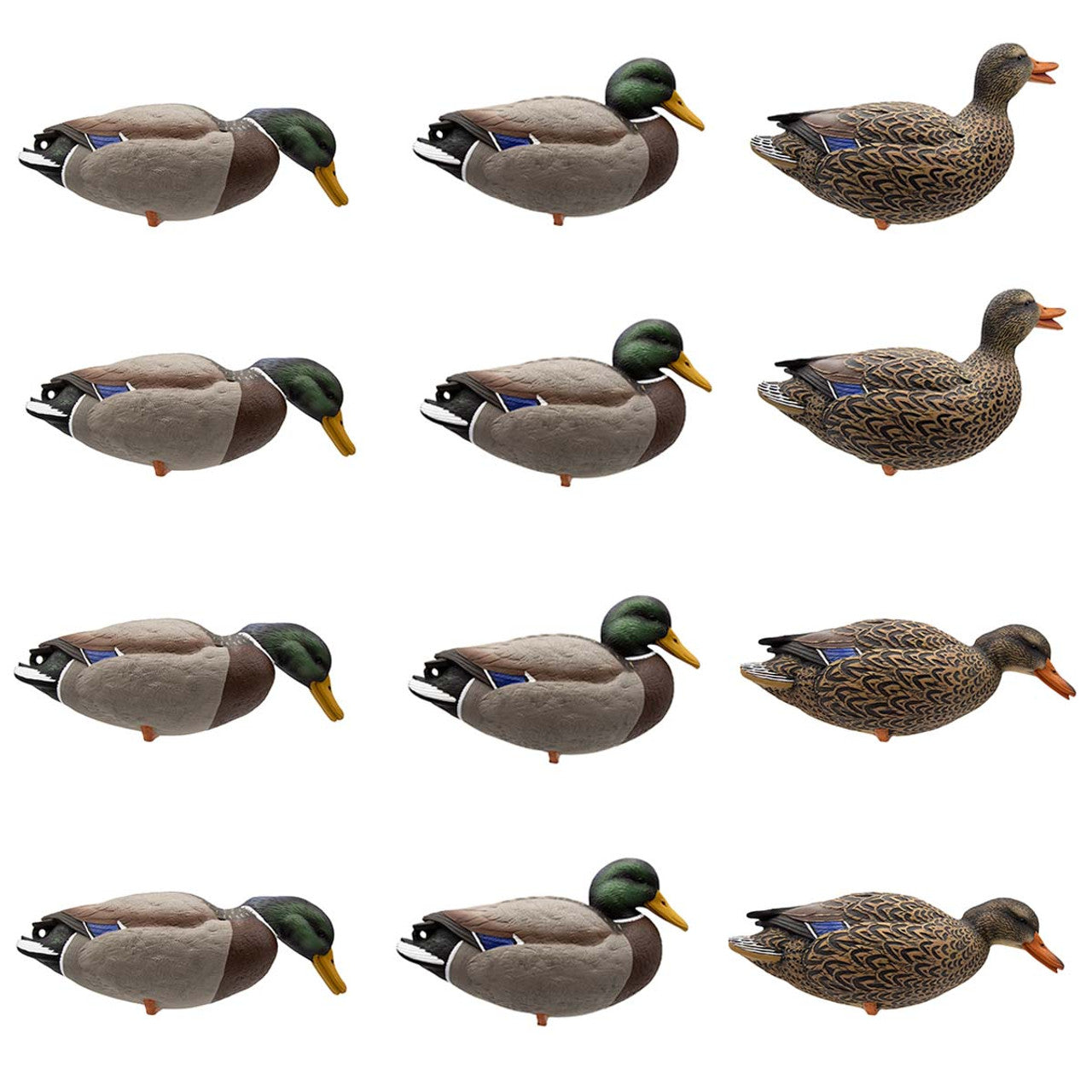 A set of 12 full-body mallard decoys in various positions and colors, designed for waterfowl hunting.