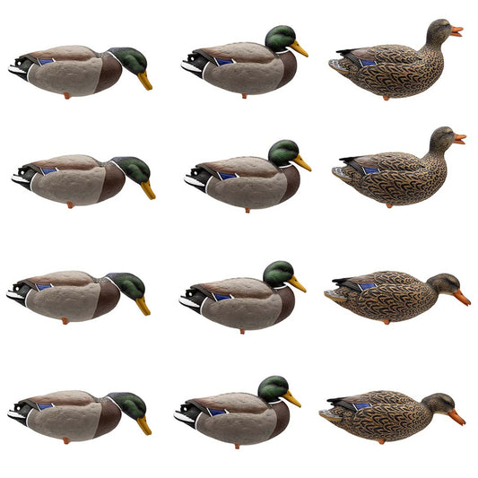 A set of 12 full-body mallard decoys in various positions and colors, designed for waterfowl hunting.